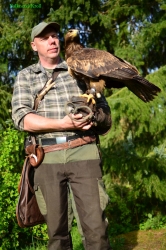 Markus Kroll mit Adler auf der Hand