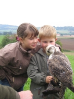 Greifvogelvorstellung zu Hause